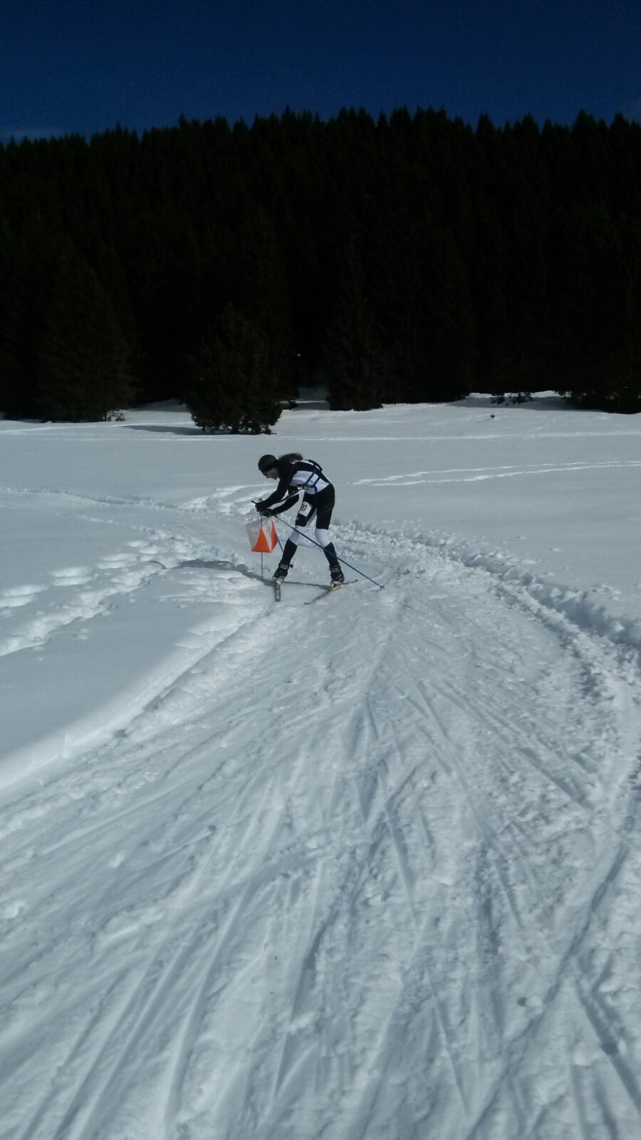 IMG-20160221-WA0031